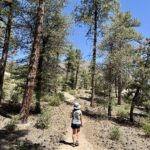 Hiking in Prescott