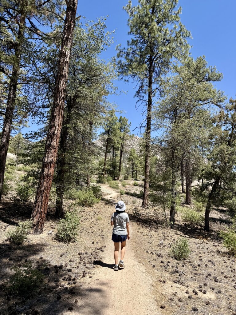 Hiking in Prescott
