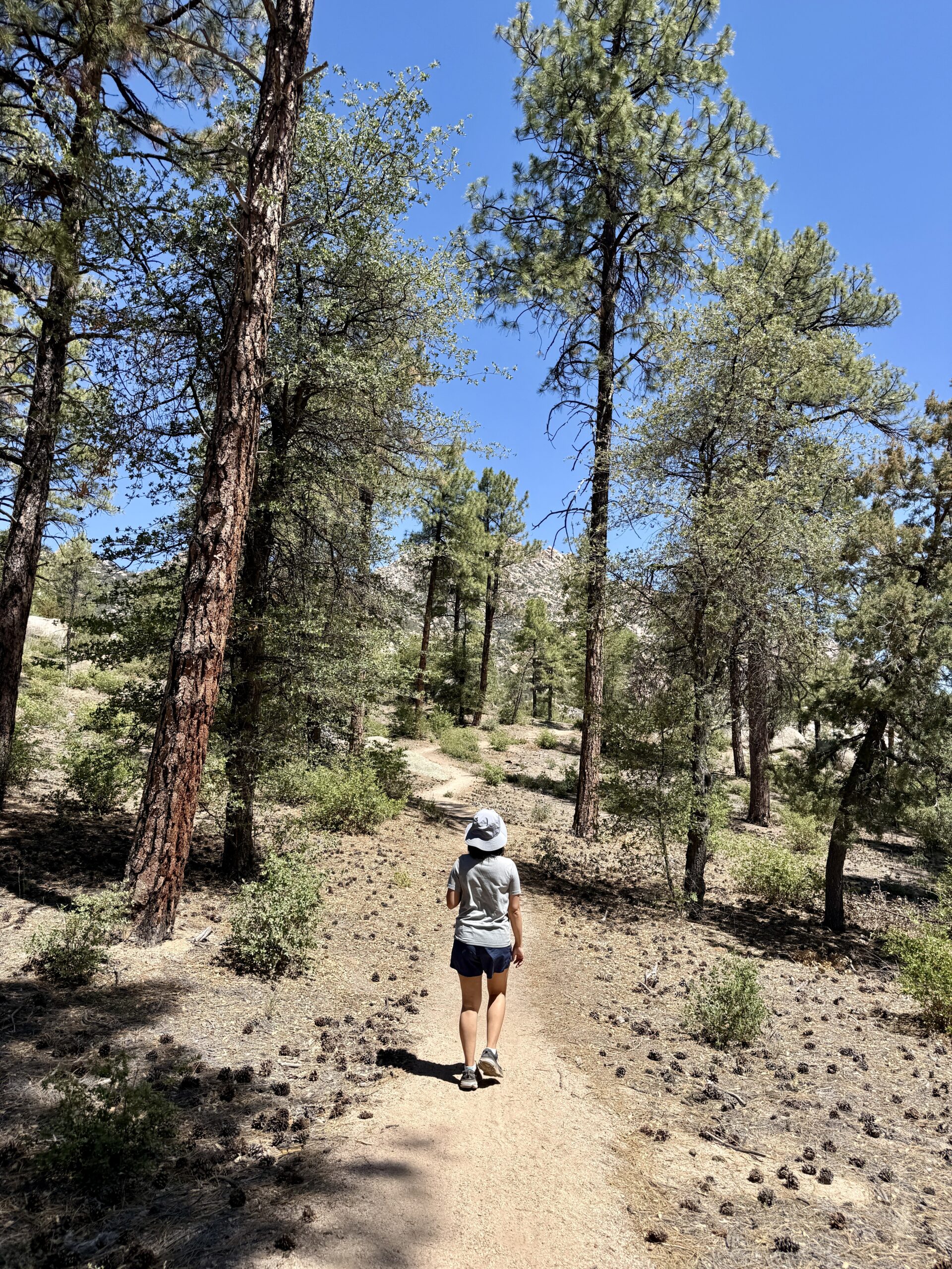 Hiking in Prescott