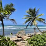 Financial advisor guide to Puerto Rico Act 60 tax incentives for investors and business owners