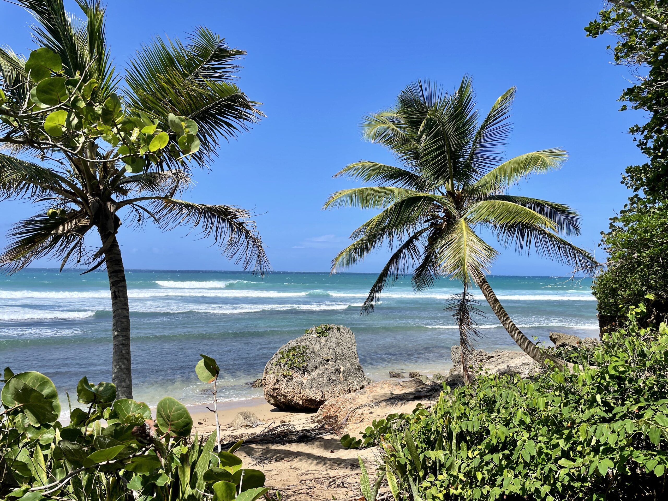 Financial advisor guide to Puerto Rico Act 60 tax incentives for investors and business owners